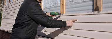 Best Siding Painting and Refinishing  in Debary, FL